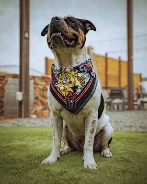 Bandana