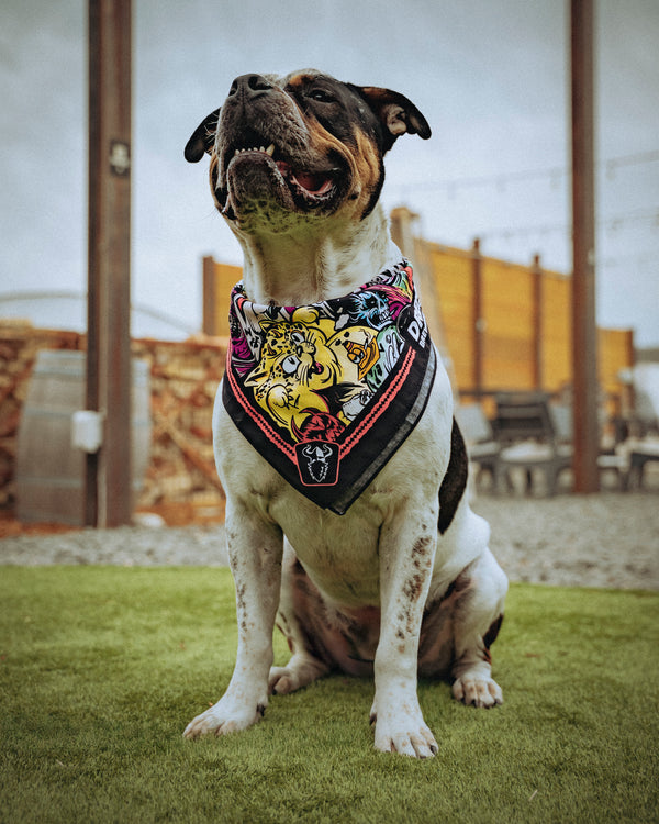 Bandana