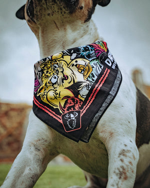 Bandana