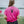 Pink Psycho Logo T-Shirt